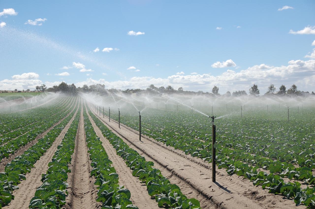 Irrigation garden gardens methods landscape soaker