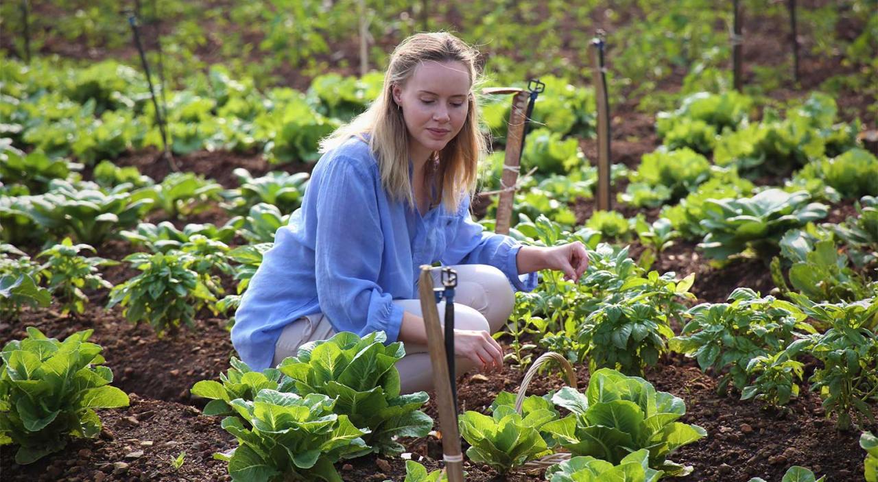 Bio-Garten und Nachhaltigkeit