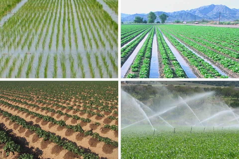 Irrigation furrow irrigate suitability fct