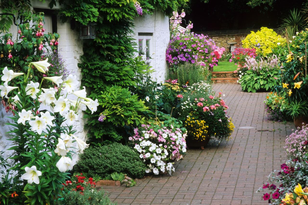 Welche Pflanzen eignen sich für den Garten?