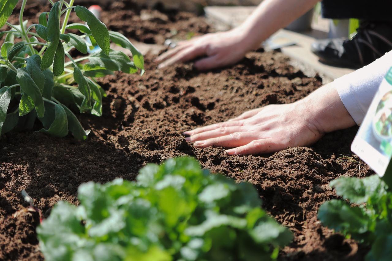 Soil preparation permaculture prep