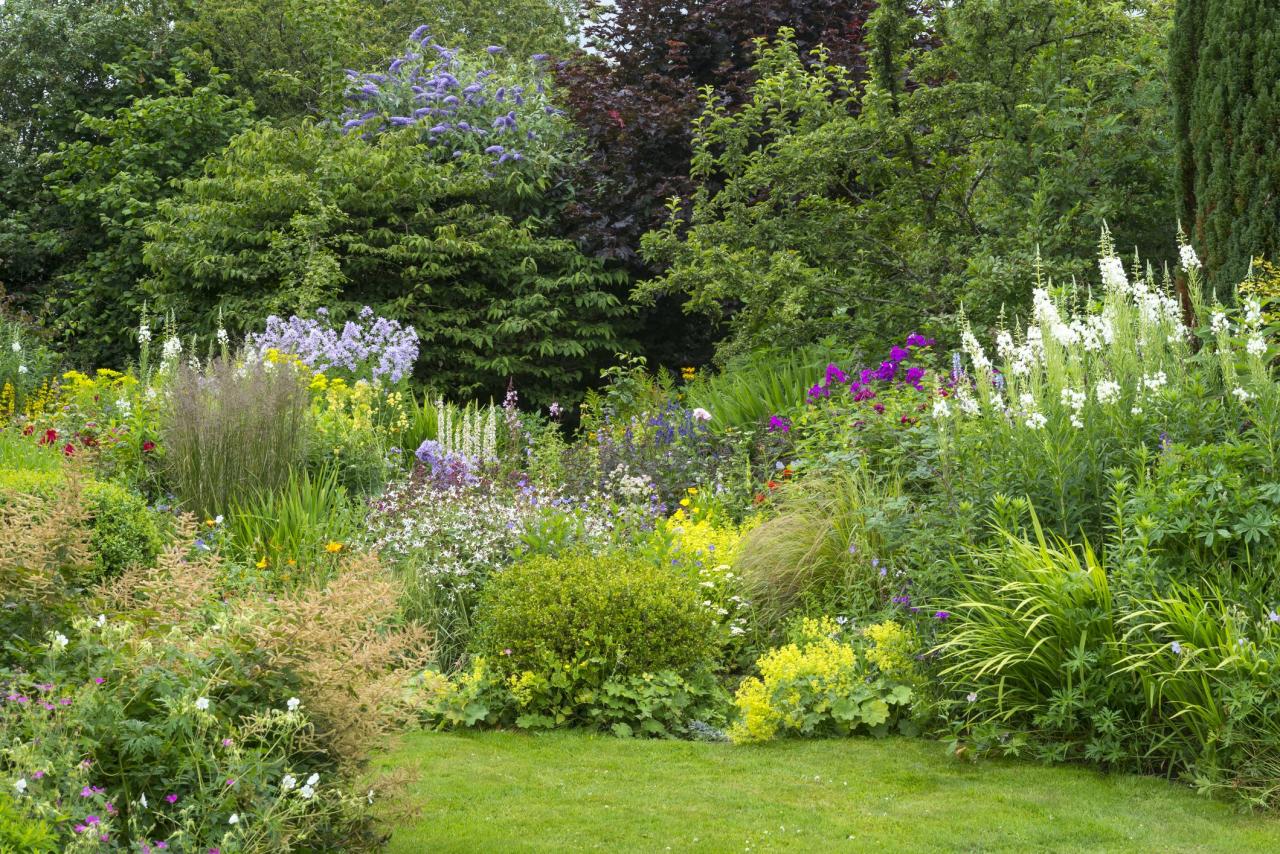 Welche Pflanzen eignen sich für den Garten?