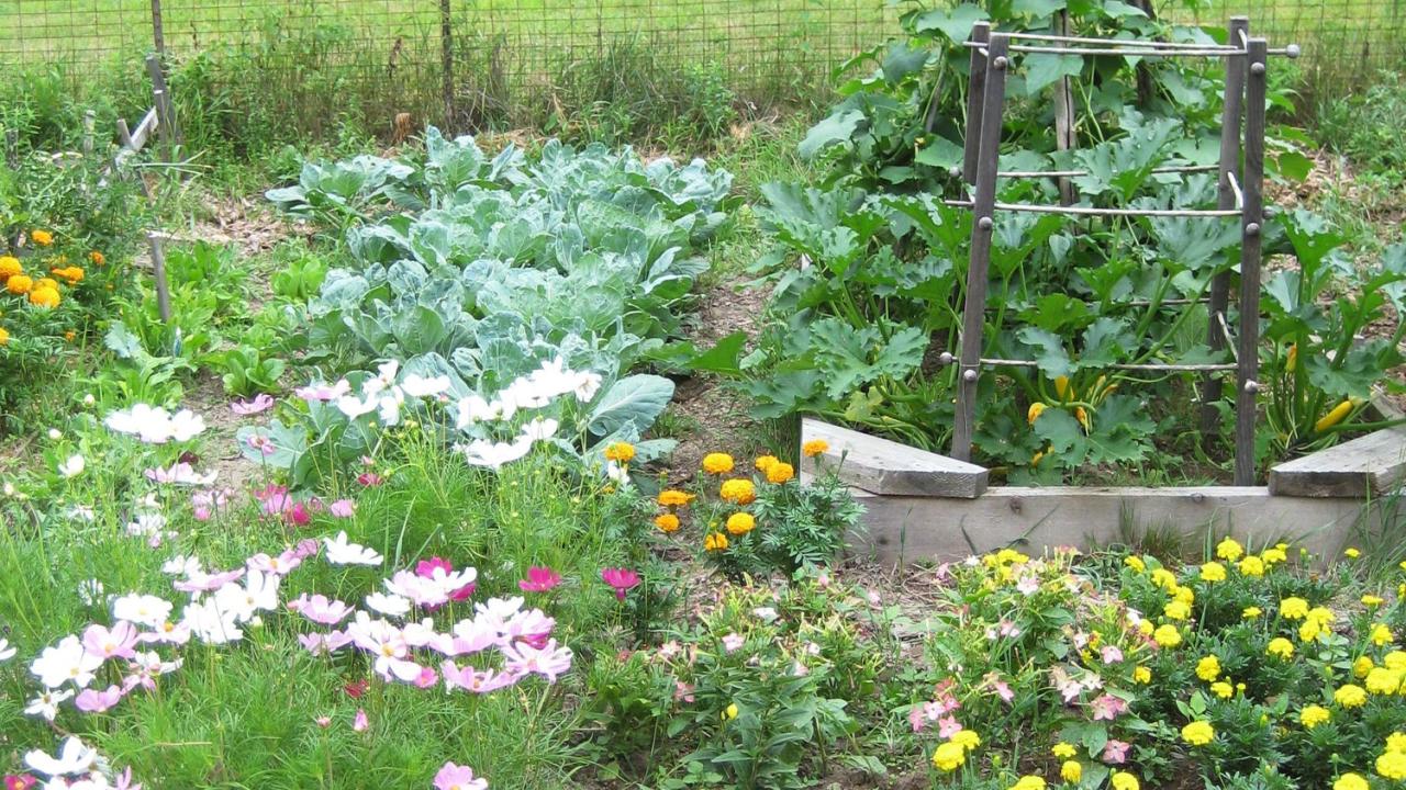 Article organic gardening planet way save happiness